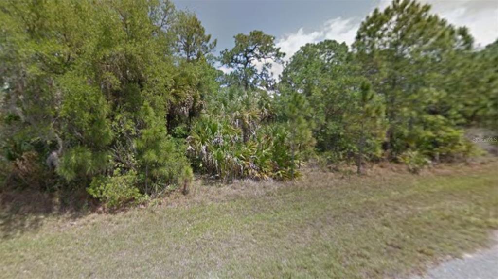A vacant, wooded lot with dense vegetation, pine trees, and saw palmettos — 14088 GAILWOOD AVENUE, PORT CHARLOTTE, FL