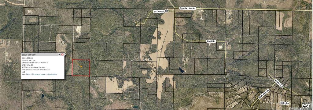 This is a satellite map showing a highlighted 40-acre parcel of land with property boundaries — 19 2N 12W-20 UNKNOWN, FOUNTAIN, FL