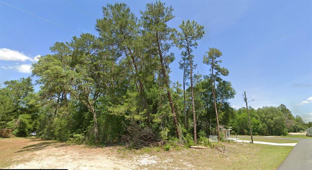 A wooded lot with tall pine trees sits next to a paved road and house — LOT 11 SW 128TH PLACE, OCALA, FL
