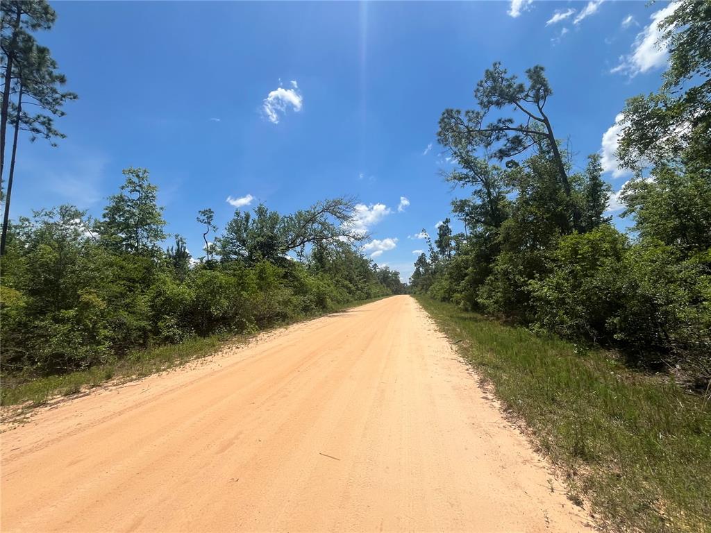 A dirt road stretches through a wooded area under a bright blue sky — TAMARAC ROAD, MARIANNA, FL