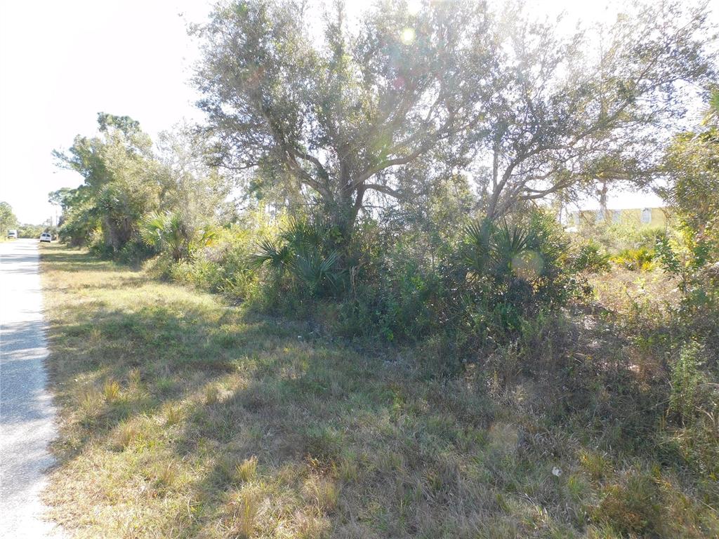 A paved road runs alongside a grassy, wooded lot with several large trees and shrubs — 14009 PARIS LANE, PORT CHARLOTTE, FL
