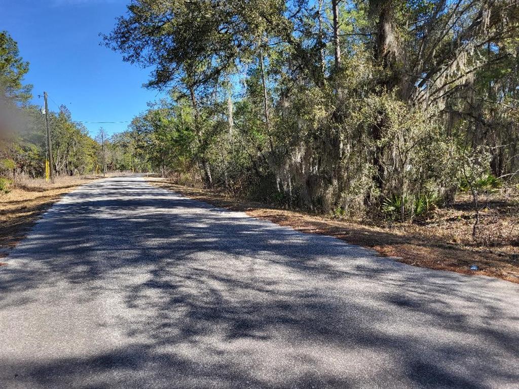 A paved road runs through a wooded area with tall trees and Spanish moss — TBD SE FISHER RUN TERRACE LOT 15, OCALA, FL