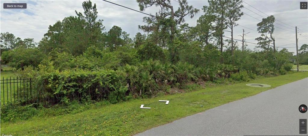 A vacant, wooded lot sits alongside a paved road with a metal fence on the left — MAJESTIC STREET, ORLANDO, FL