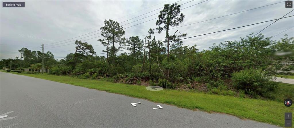 A vacant, wooded lot sits alongside a paved road under a cloudy sky — MAJESTIC STREET, ORLANDO, FL