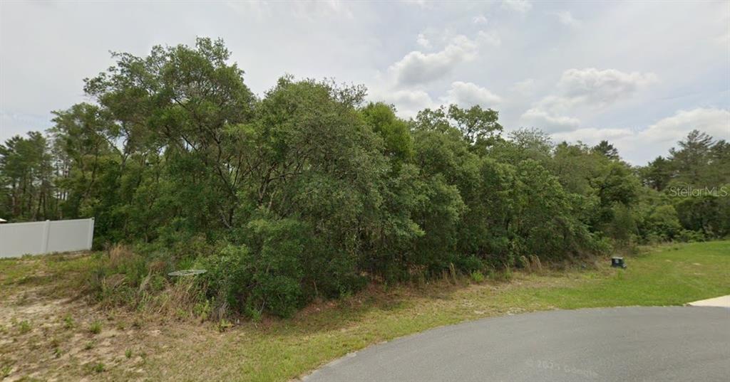A dense, wooded vacant lot sits adjacent to a paved road and a white fence — 0 SW 33 AVENUE ROAD Lot 43, OCALA, FL