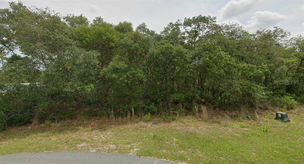 A view of a densely wooded, undeveloped residential lot from a paved street — 0 SW 33 AVENUE ROAD Lot 43, OCALA, FL