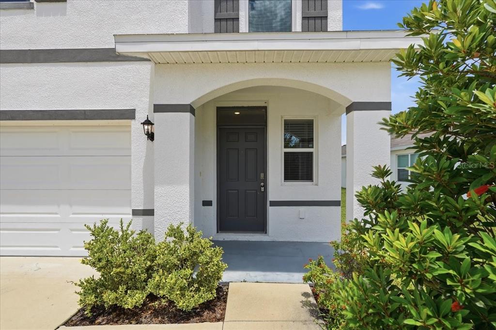 The exterior of a white house features a dark gray front door and a garage — 33503 ELM HILL BRANCH, WESLEY CHAPEL, FL