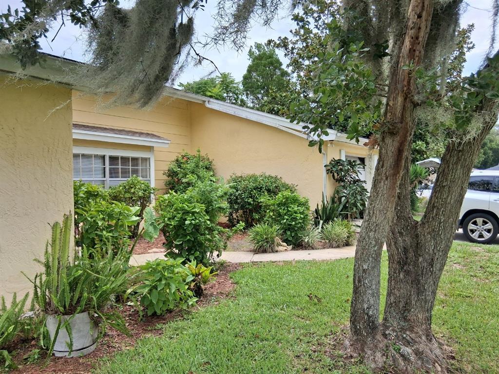 A yellow house exterior features a front garden with shrubs and a large tree — 12406 WEATHERSTONE ROW, HUDSON, FL