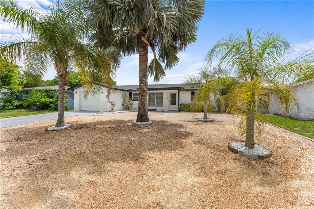A single-story white house features a gravel front yard with several palm trees — 10914 OAKDALE AVENUE, PORT RICHEY, FL