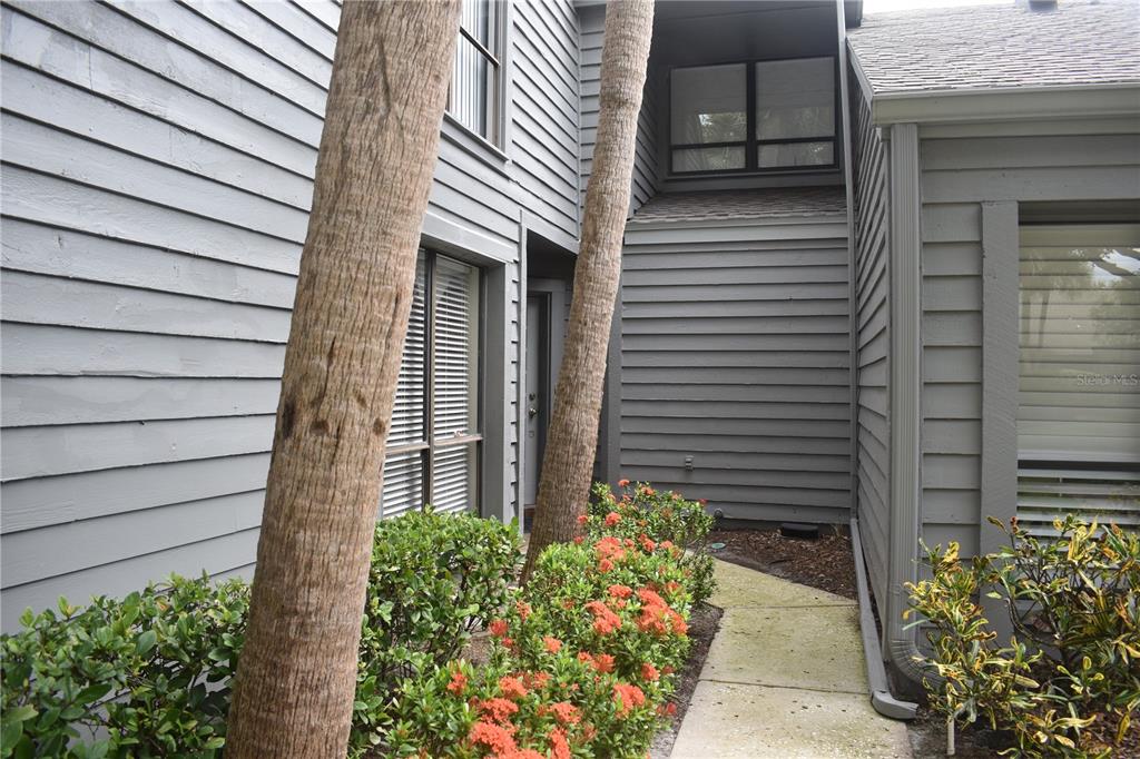 A concrete walkway leads to the front entrance of a gray wood-sided house with landscaping — 3053 EAGLES LANDING CIRCLE W UNIT 3053, CLEARWATER, FL