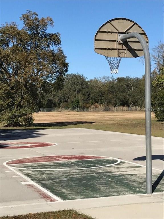 An outdoor basketball court with a hoop and backboard sits in a grassy field — 15025 RAILS ROAD, ODESSA, FL