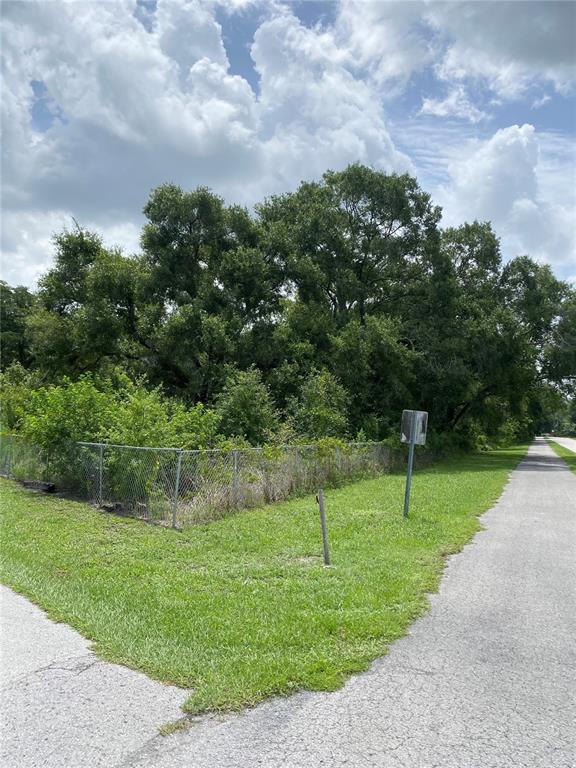 A chain-link fence encloses a wooded lot next to a paved path and road — 15025 RAILS ROAD, ODESSA, FL