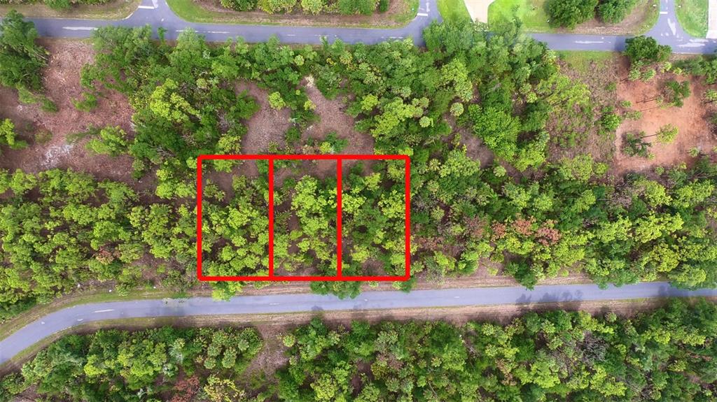 An aerial view shows three adjacent wooded residential lots outlined in red near a road — 1101, 1117 & 1109 BORDER STREET, PORT CHARLOTTE, FL