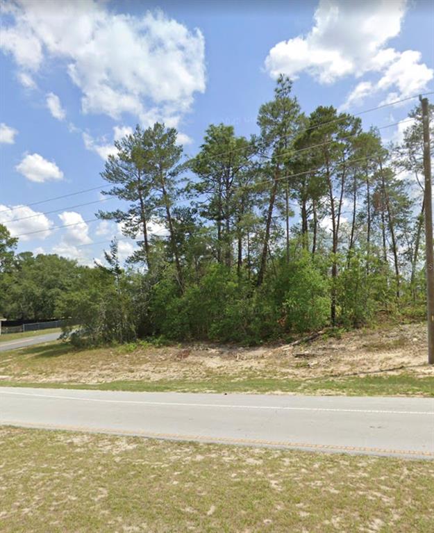 A view of a vacant, wooded lot bordering a paved road under a cloudy sky — MARION OAKS TRAIL, OCALA, FL