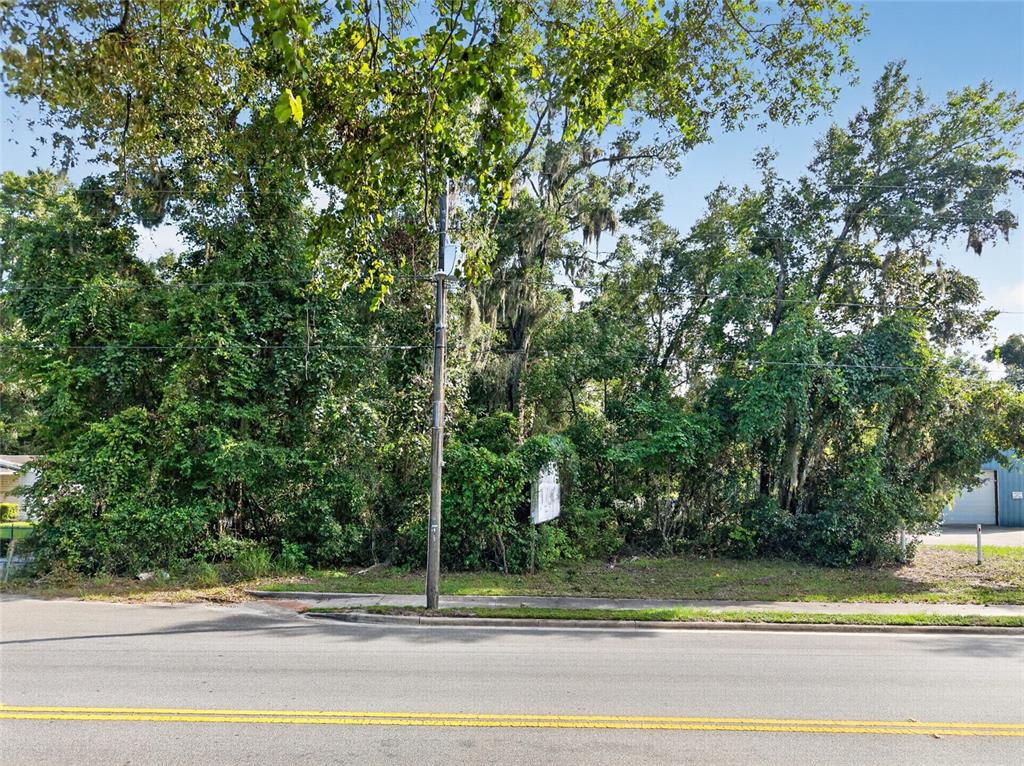 A vacant, heavily wooded lot sits behind a sidewalk and a paved road — TBD NW 1ST AVENUE, HIGH SPRINGS, FL