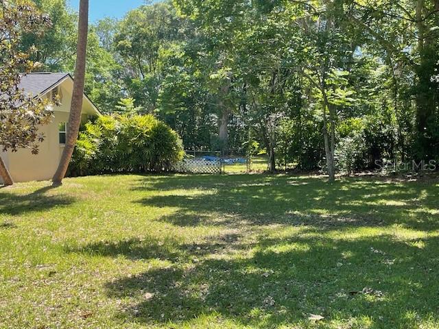 A grassy backyard features a house on the left and dense trees in the background — 1231 SE 40TH COURT, OCALA, FL