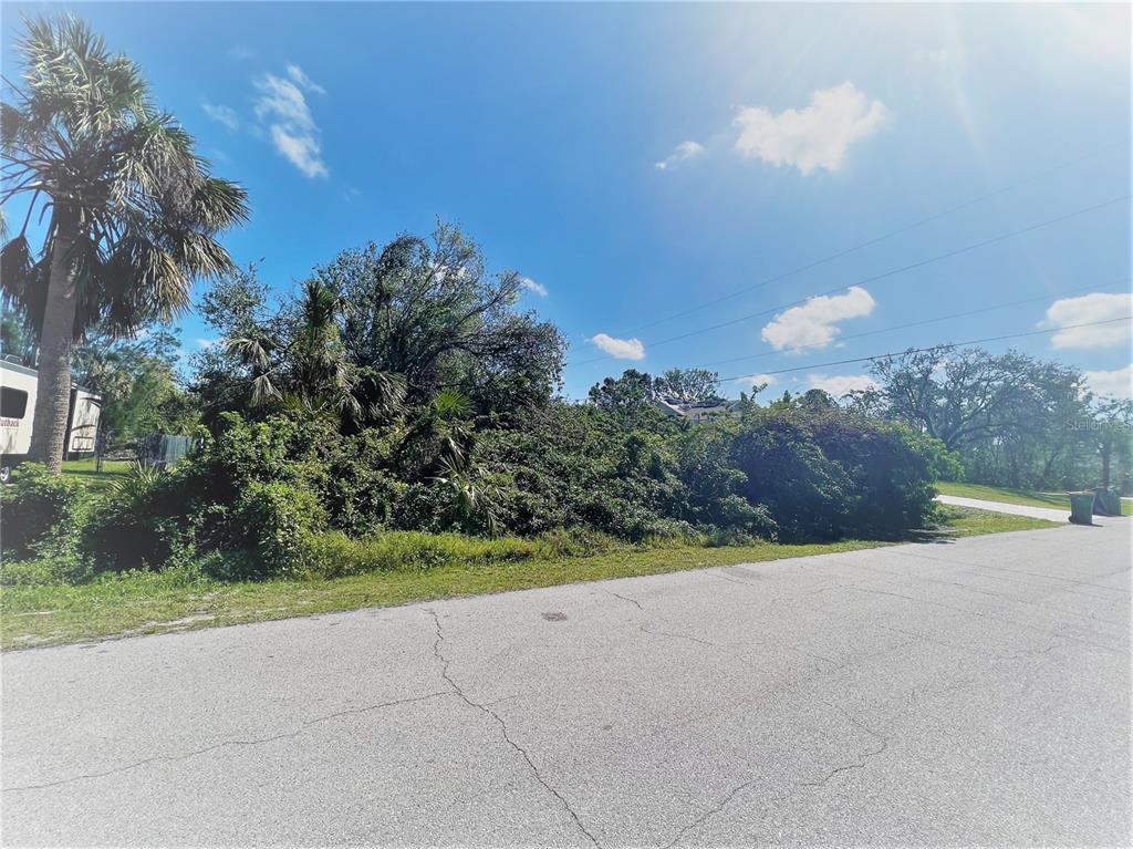 A paved road runs alongside a vacant, overgrown lot with a palm tree and shrubs — 3438 DUNKIRK STREET, PORT CHARLOTTE, FL