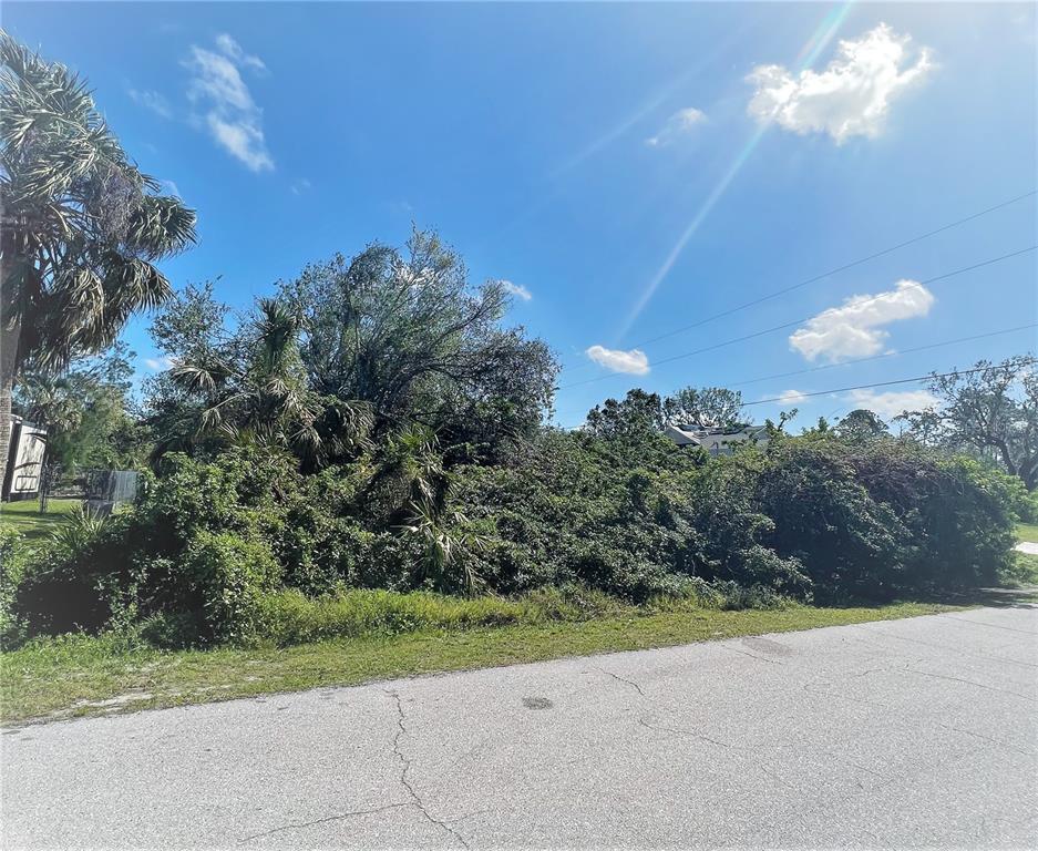 A vacant, overgrown lot with dense vegetation and palm trees borders a paved asphalt road — 3438 DUNKIRK STREET, PORT CHARLOTTE, FL