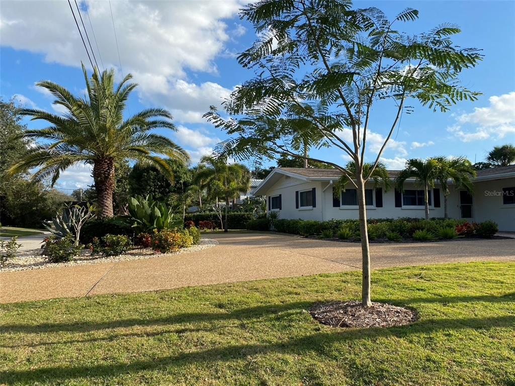 A view of a house exterior with a paved driveway, palm trees, and green lawn — 814 PARADISE WAY, SARASOTA, FL