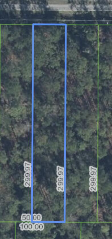 This is an aerial map view of a rectangular, wooded plot of land — 2571 Hammock Road, Sebring FL 33872, SEBRING, FL