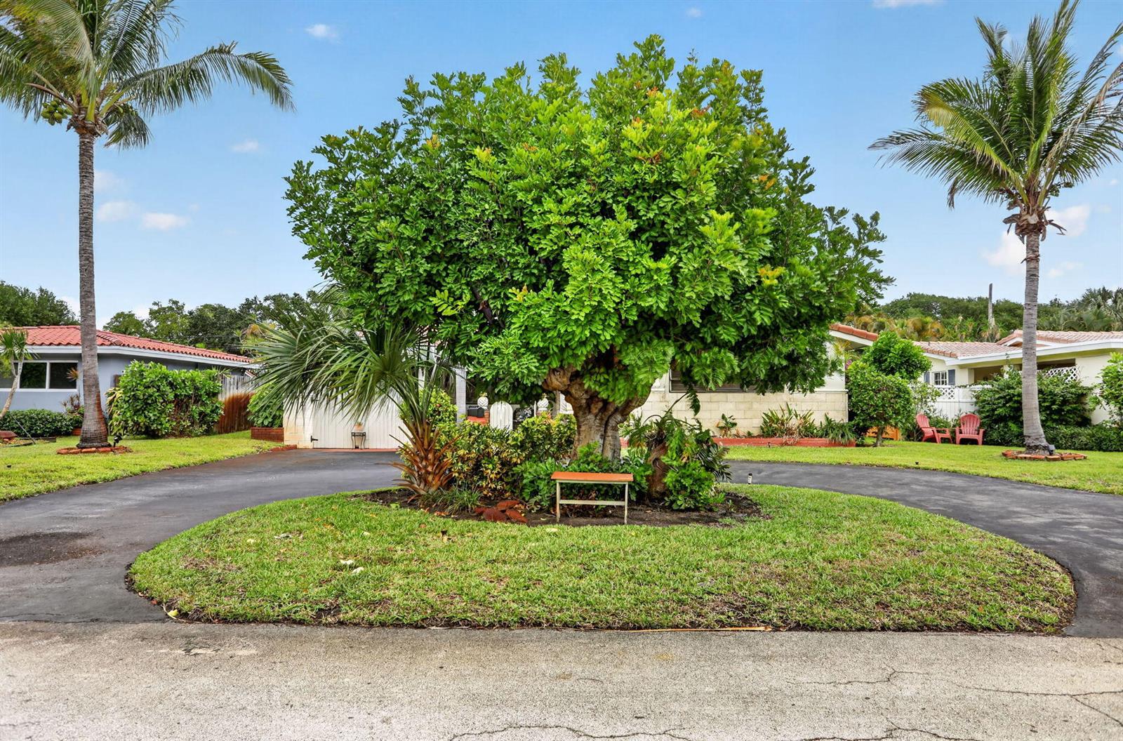 A large tree sits in the center of a circular driveway in front of a house — 1931 NE 27th Street, Lighthouse Point FL 33064, LIGHTHOUSE POINT, FL