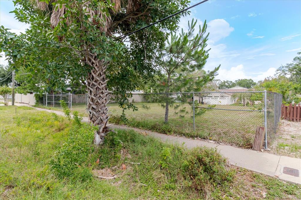 A chain-link fence encloses a vacant grassy lot with a palm tree and pine tree — 7208 S SHERRILL, TAMPA, FL
