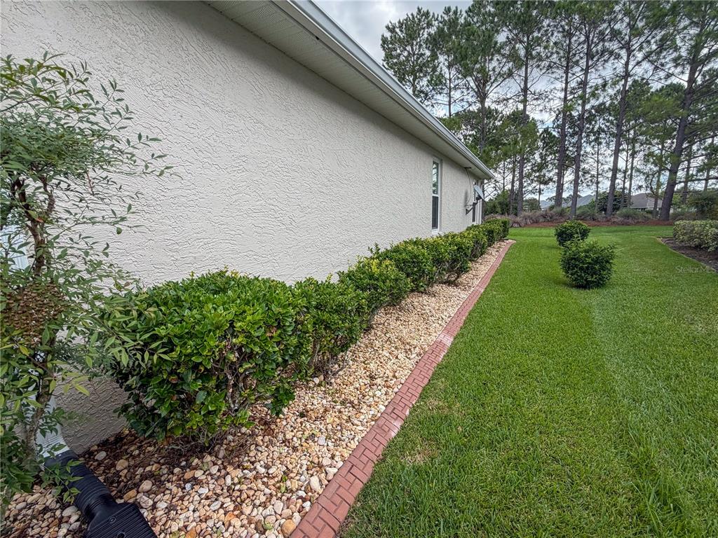 A side view of a house exterior featuring a stucco wall, landscaping, and a lawn — 8565 SW 82ND TERRACE, OCALA, FL