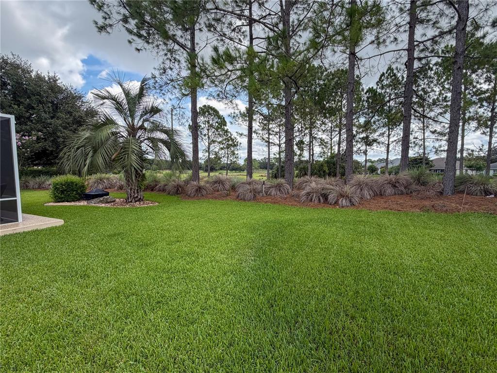 A grassy backyard features a palm tree, pine trees, and a landscaped garden bed — 8565 SW 82ND TERRACE, OCALA, FL