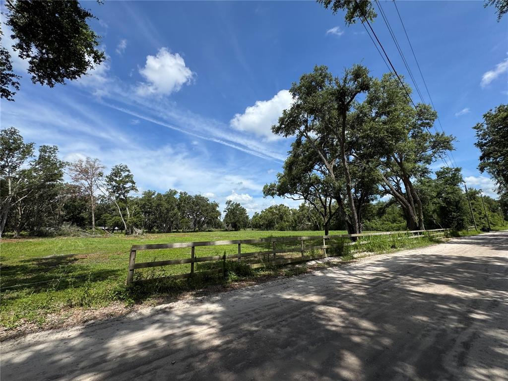 A dirt road runs alongside a fenced, grassy field with several large trees — 6845 LUMBERTON ROAD, ZEPHYRHILLS, FL