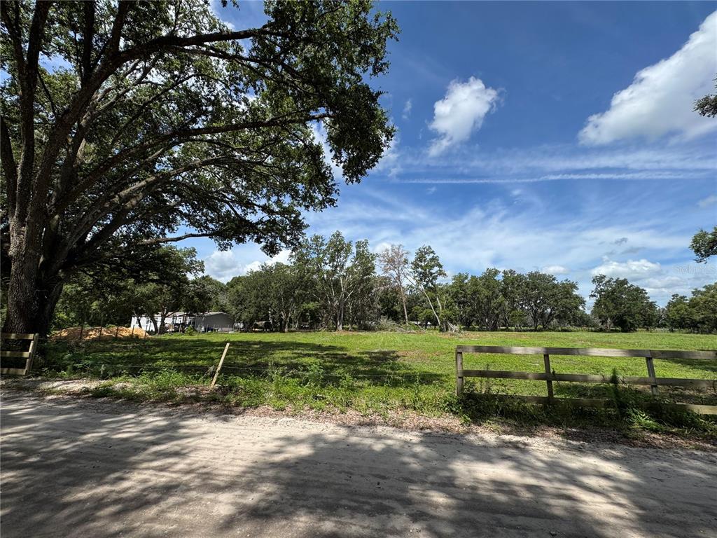 A dirt road leads to a grassy, fenced lot with large trees under a blue sky — 6845 LUMBERTON ROAD, ZEPHYRHILLS, FL
