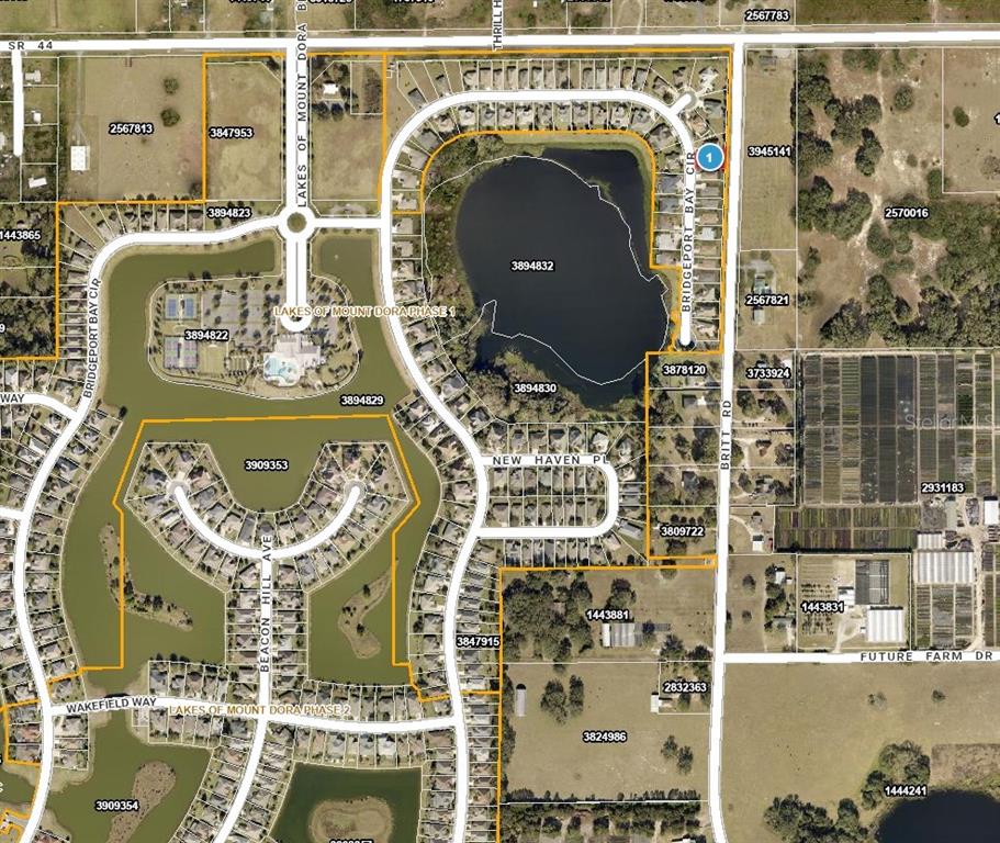 8062 BRIDGEPORT BAY CIRCLE, MOUNT DORA, FL — photo 3 of 5