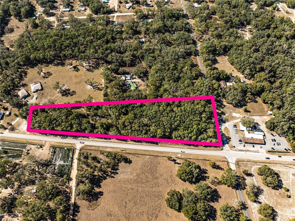 An aerial view shows a rectangular, wooded lot outlined in pink along a paved road — 000 S HWY 25, WEIRSDALE, FL