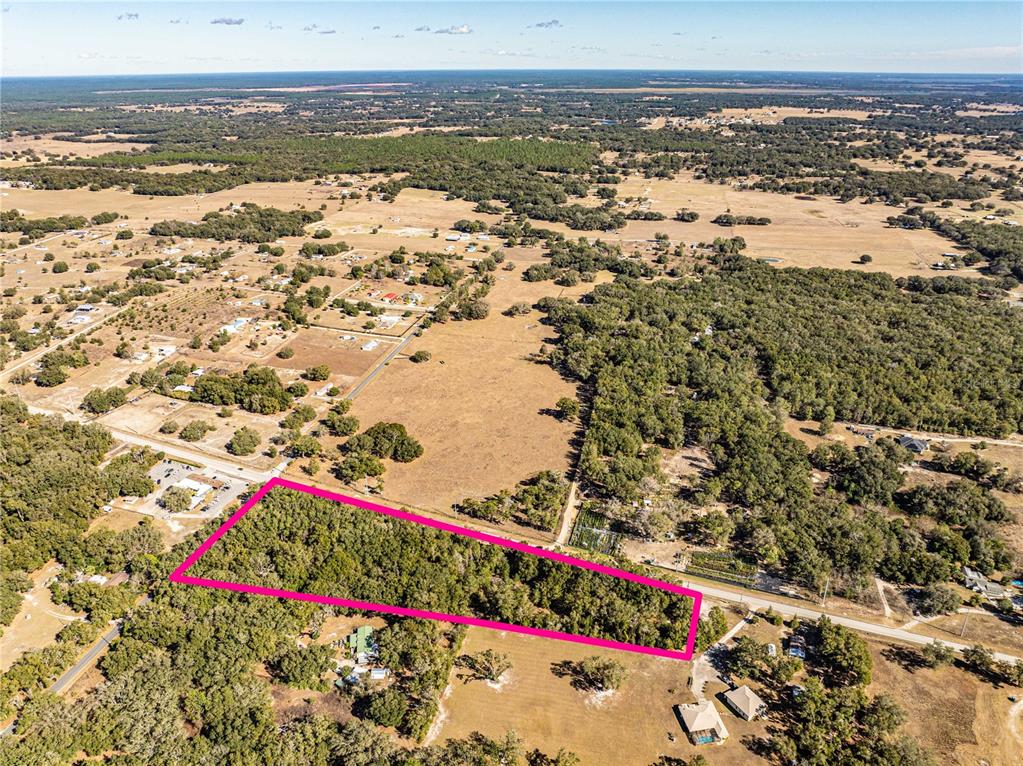 An aerial view shows a rectangular, wooded plot of land outlined in bright pink — 000 S HWY 25, WEIRSDALE, FL