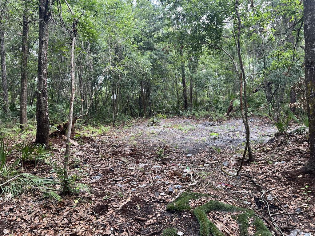 A wooded lot features a cleared, debris-strewn area surrounded by dense trees and vegetation — 2322-2328 ROUSE ROAD, ORLANDO, FL