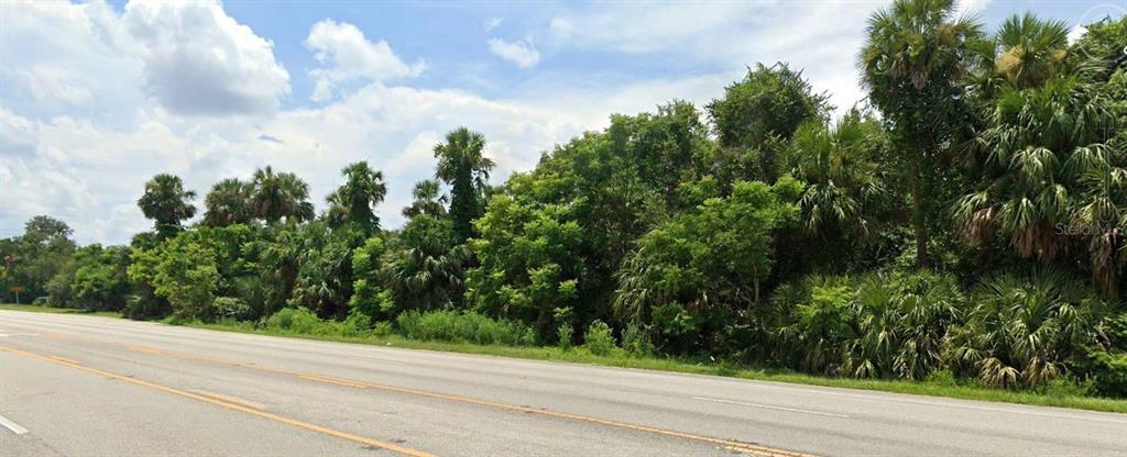 A paved road runs alongside a dense area of trees and palm plants — 1351 N VOLUSIA AVENUE, ORANGE CITY, FL