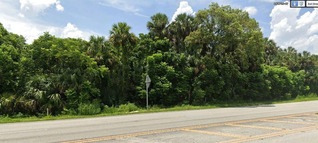 A dense line of trees and palm trees borders a paved road under a cloudy sky — 1351 N VOLUSIA AVENUE, ORANGE CITY, FL