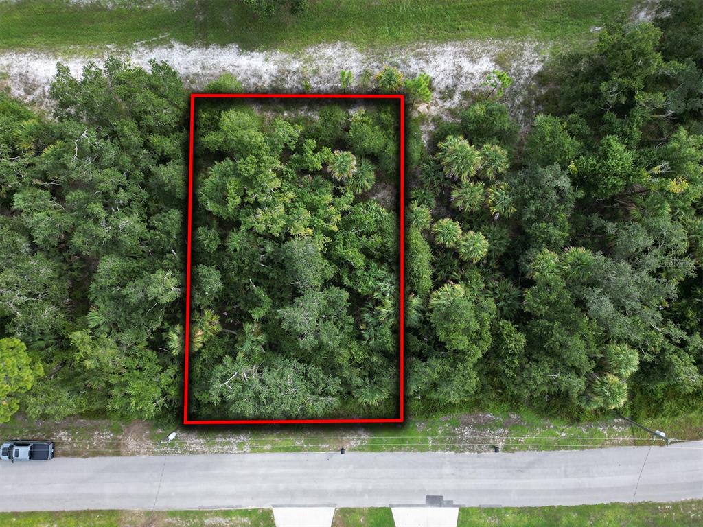 An aerial view shows a rectangular, wooded vacant lot outlined in red along a road — RHAPSODY AVENUE, NORTH PORT, FL