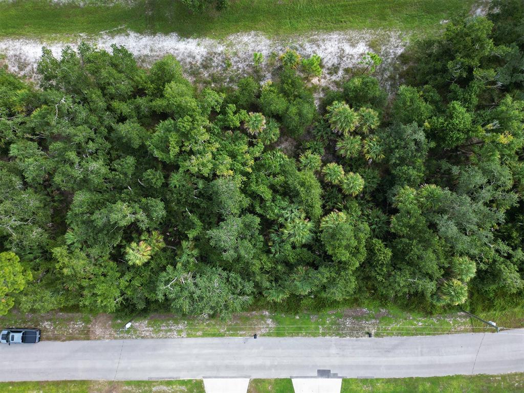 An aerial view shows a wooded lot bordered by a paved road and sandy ground — RHAPSODY AVENUE, NORTH PORT, FL