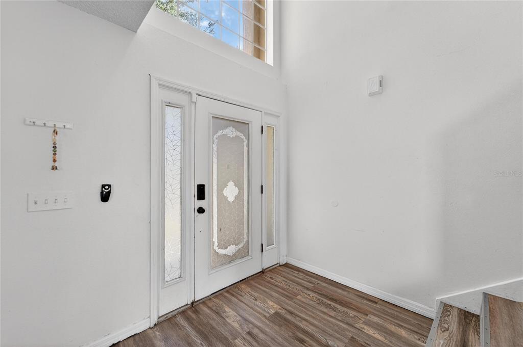 A bright entryway features a white front door with glass panels and wood-look flooring — 10325 FROG POND DRIVE, RIVERVIEW, FL
