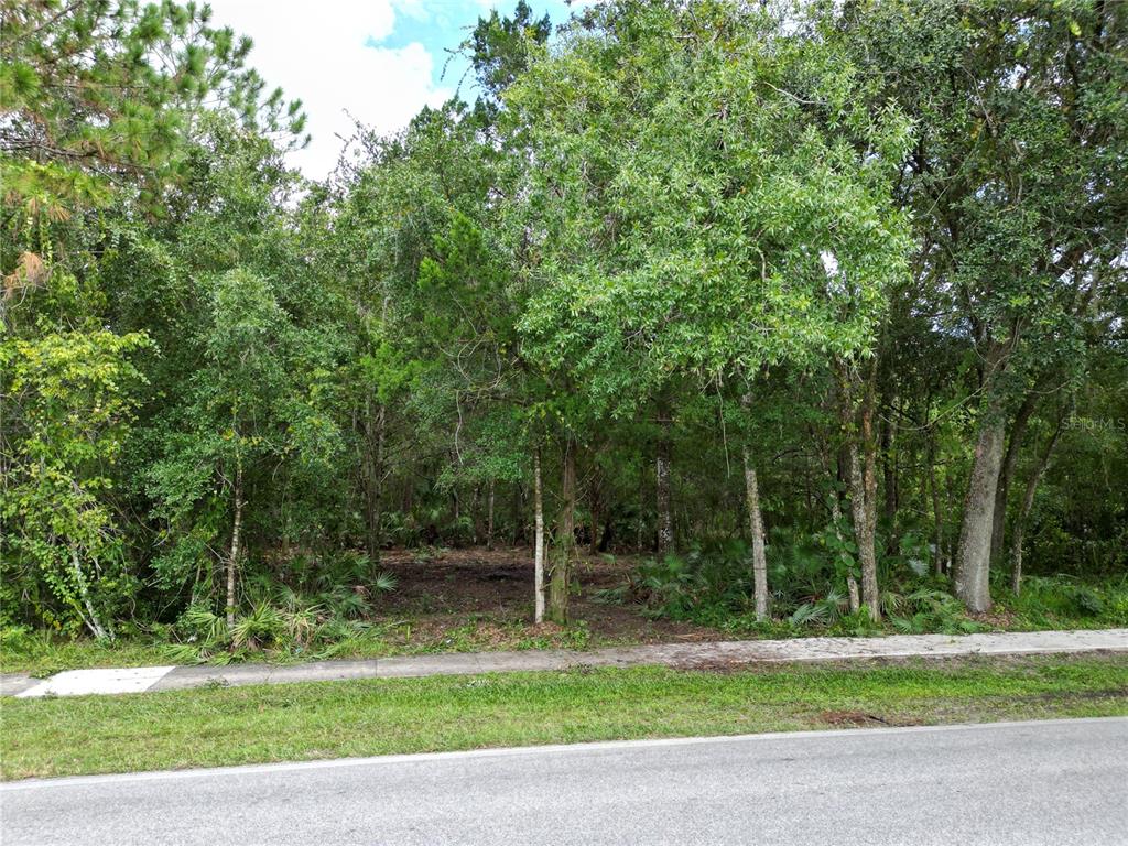 2039 N 6TH ST, ORLANDO, FL — photo 3 of 8