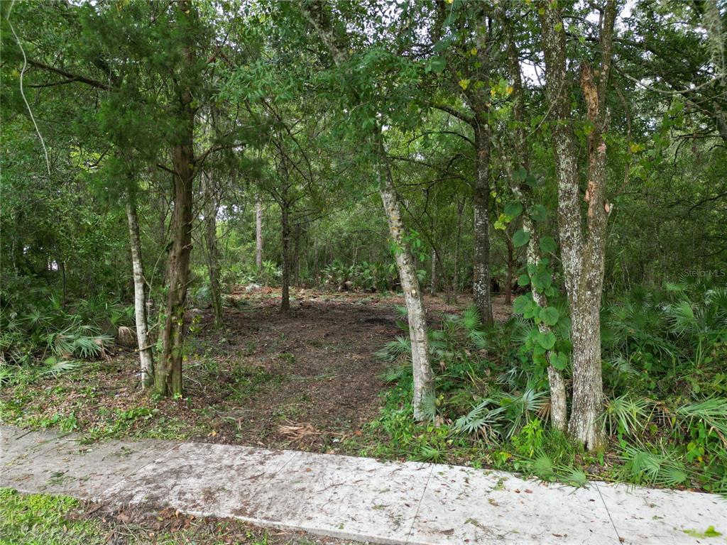 2039 N 6TH ST, ORLANDO, FL — photo 4 of 8