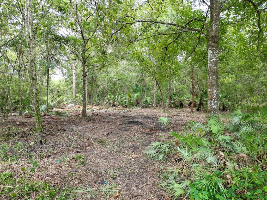 2039 N 6TH ST, ORLANDO, FL — photo 5 of 8