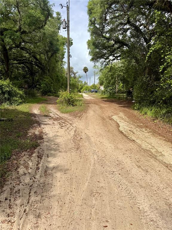 A dirt road forks through a wooded area with a utility pole in the center — TBD NE 130 PLACE, SALT SPRINGS, FL