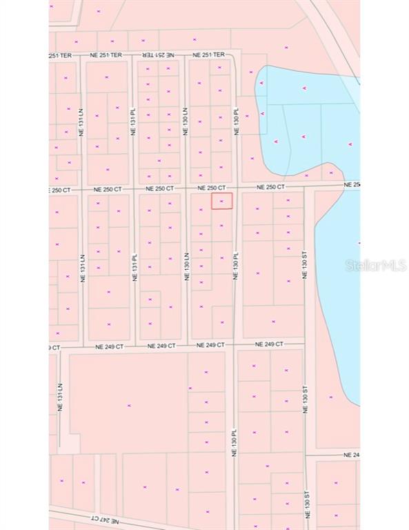 This is a map showing residential property lots and street layouts — TBD NE 130 PLACE, SALT SPRINGS, FL