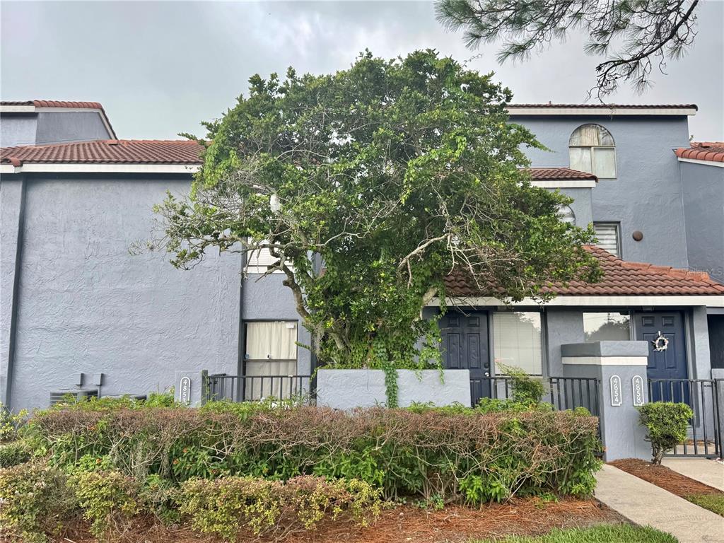 A two-story gray townhouse exterior features a large tree and a manicured hedge in front — 4852 MARKS TERRACE UNIT 52, ORLANDO, FL