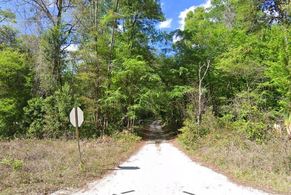A dirt road leads into a dense, green forest with a stop sign on the left — 676TH LANE, OLD TOWN, FL