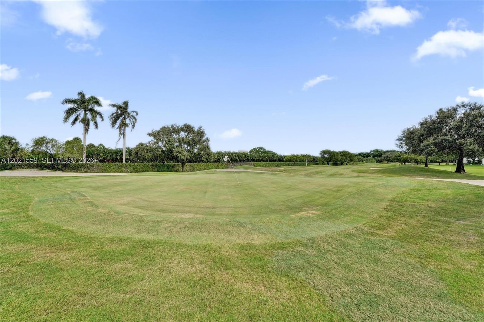 A view of a golf course green with palm trees and a clear blue sky — 1502 Whitehall Dr # 305, Davie FL 33324, DAVIE, FL