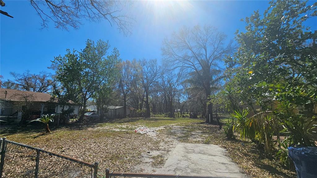 A vacant, grassy residential lot features a concrete driveway and mature trees under a sunny sky — 7207 RHODE ISLAND DRIVE, TAMPA, FL