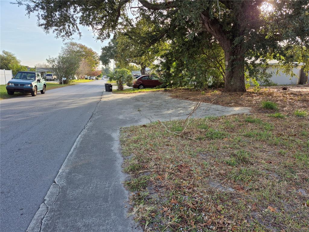 A concrete driveway sits next to a grassy yard beneath a large tree — 7116 DIPAOLA DRIVE, HUDSON, FL
