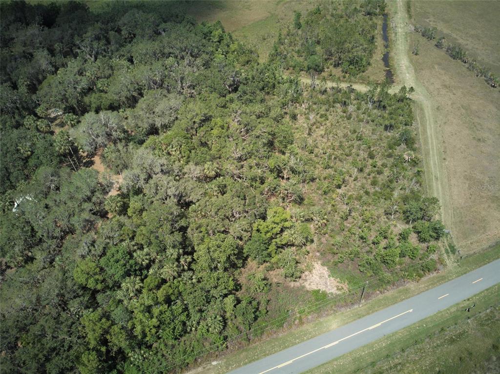 An aerial view shows a wooded lot adjacent to a paved road and open fields — EMERALDA ISLAND ROAD, LEESBURG, FL